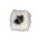 Icelandic Sheepskin Chair Pad 15X15 Natural Soft Faux Cushion